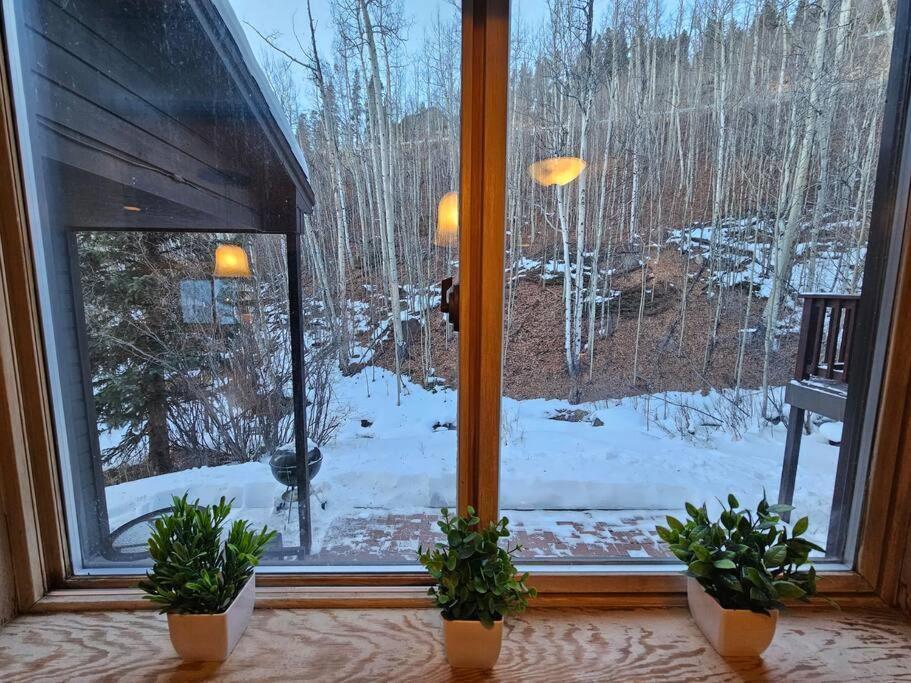 Private And Updated Breck Home With Hot Tub Breckenridge Exteriér fotografie